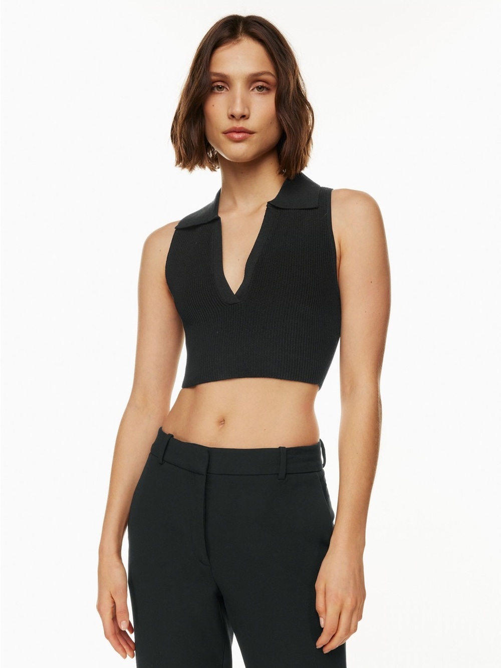 Babaton Aritzia Sculpt Knit Polo Top